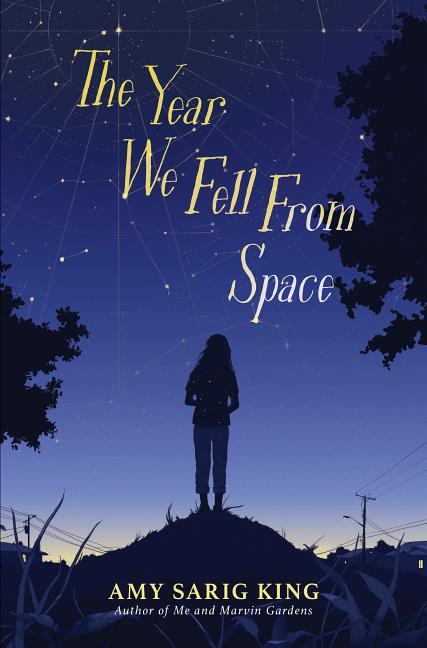 Year We Fell from Space, The
